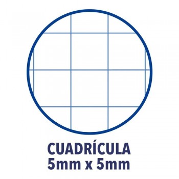 BLOCK OXFORD A4+ 120H 90gr 5X5 TAPA EXTRADURA COLORES SURTIDOS