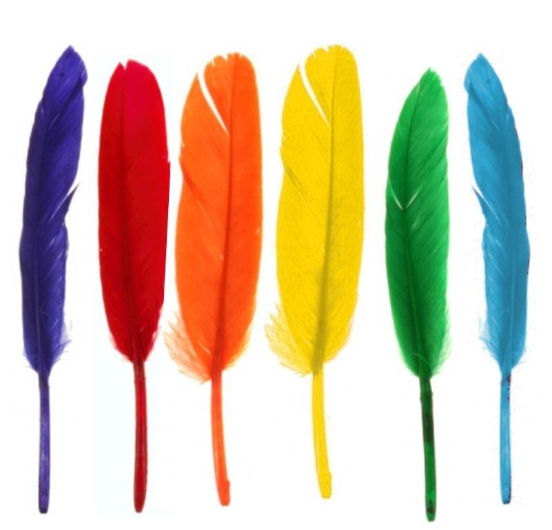 PLUMAS COLORES SURTIDOS 100 UD