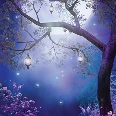 LAMINA ENCHANTED ROAD 30X30