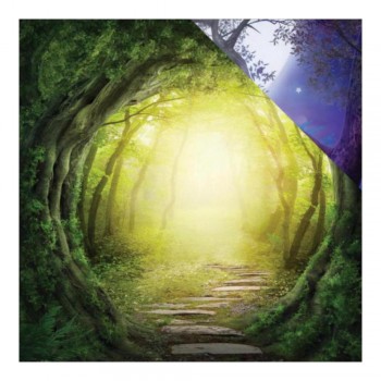 LAMINA ENCHANTED ROAD 30X30