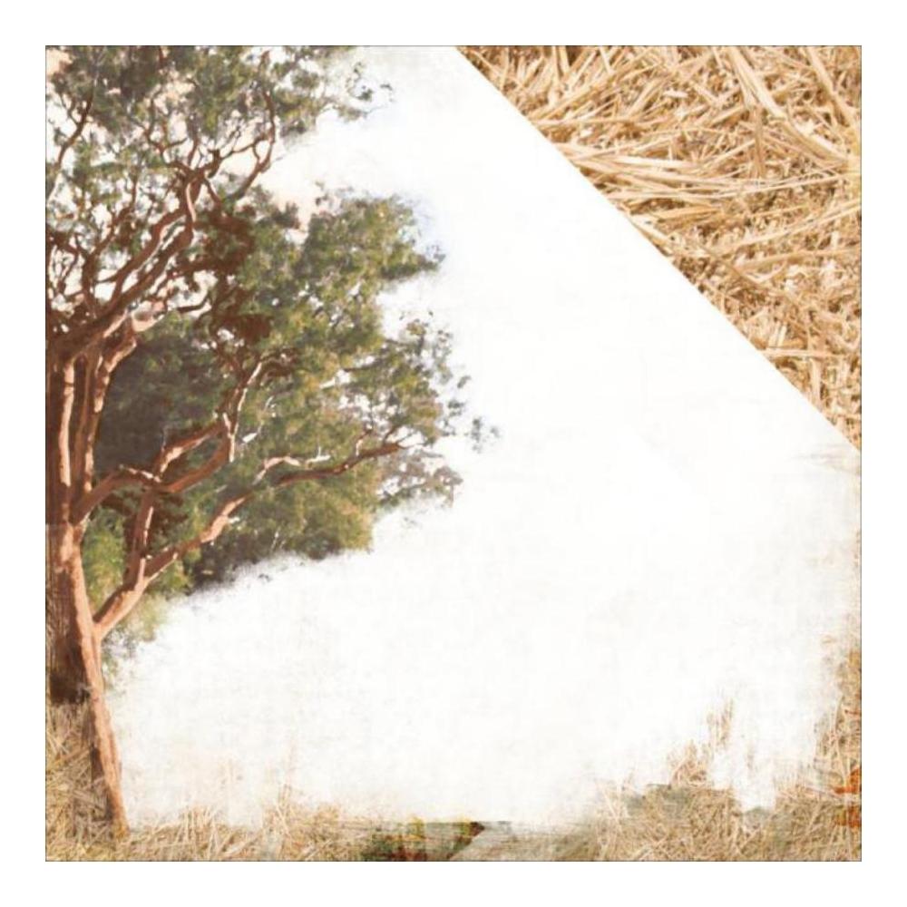 LAMINA COUNTRYSIDE 30X30