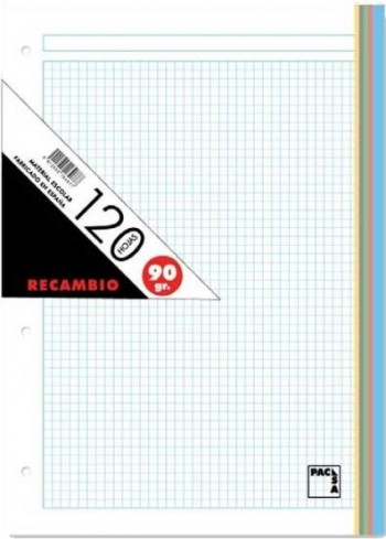 RECAMBIO PACSA A4 CUADROS 5X5 120H 5 COLORES