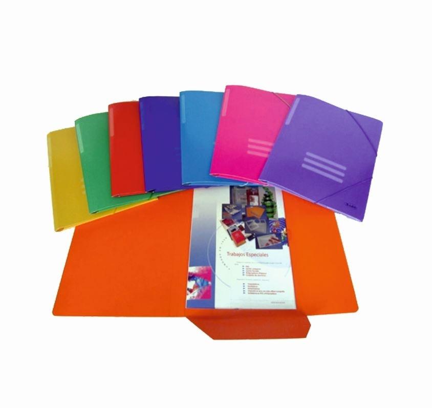 CARPETA CARTON SOLAPAS Y ELASTICOS FOLIO